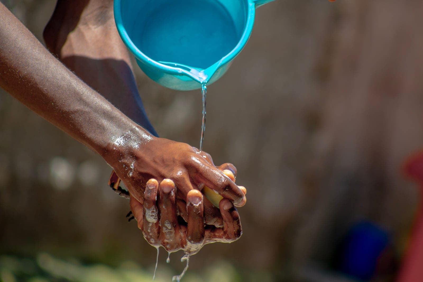 Hands rinsing equipment in a bucket of water