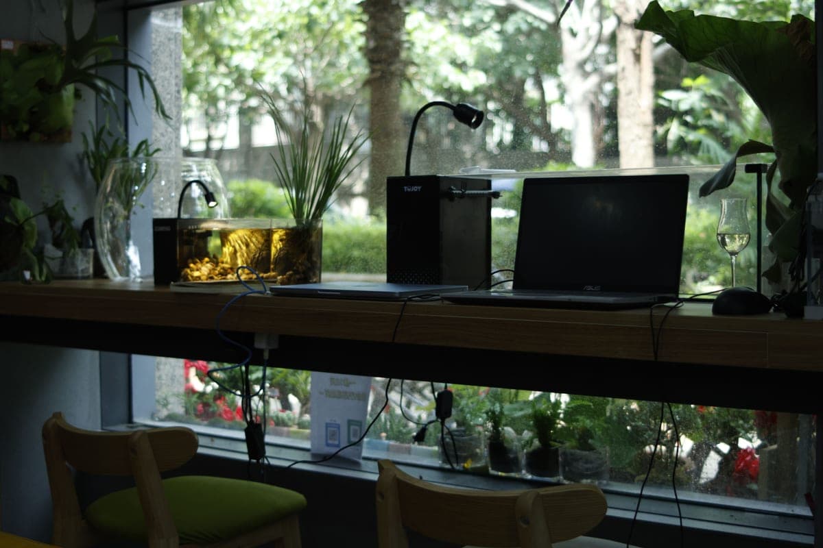 A small planted aquarium on a desk